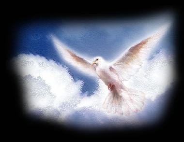 A Obra do Espírito Santo